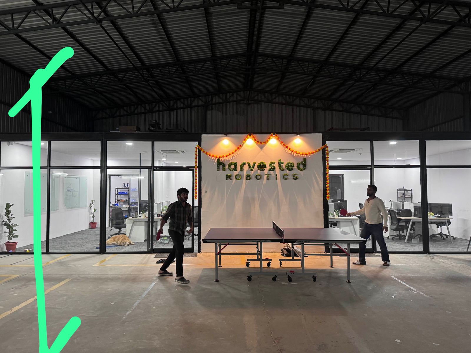 The team unwinding with a game of table tennis at the office