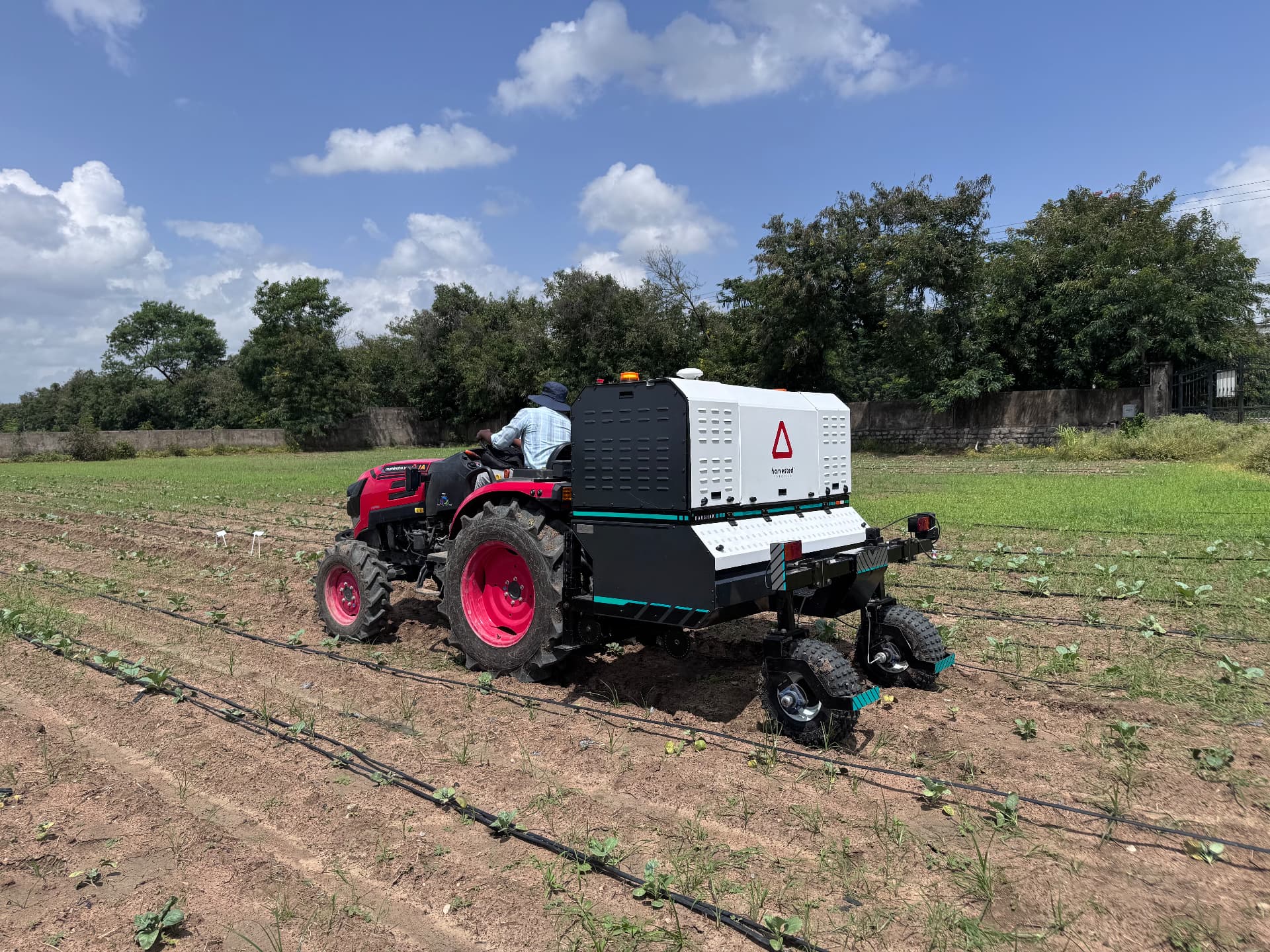 Rakshakh mounted on a red tractor running down crop rows in the field